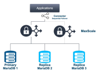 maximizing-maxscale-blog-img1.png