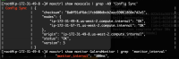 node1_maxctrl.png